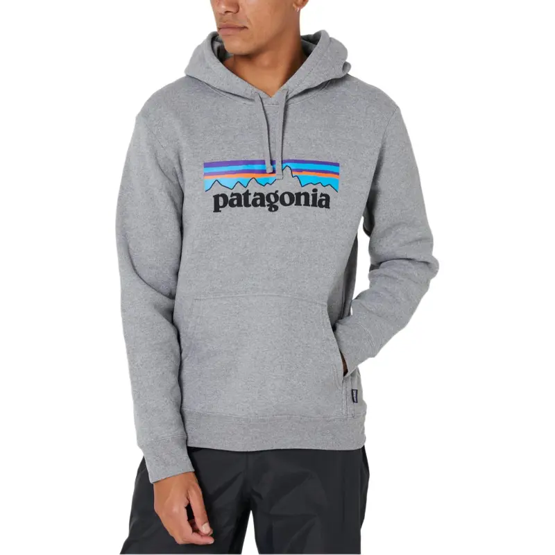 Patagonia Sweatshirt Men's Gray-2