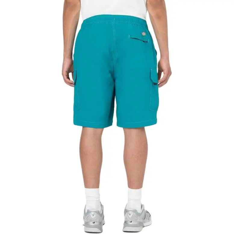 Dickies Casual Shorts Men's Dark Lake Blue-1
