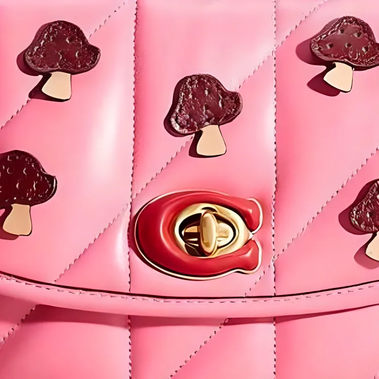 COACH Nappa Leather Pillow Bag, Crossbody Bag, Shoulder Bag Small Size Women's Pink-4