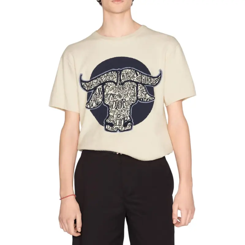DIOR And Shawn Oversized T Shirt SS21-3