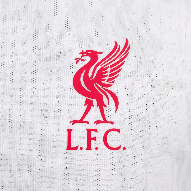 Nike Liverpool Fc 2024/25 Match Third Men's Nike Dri FIT Adv Soccer Authentic Jersey-5