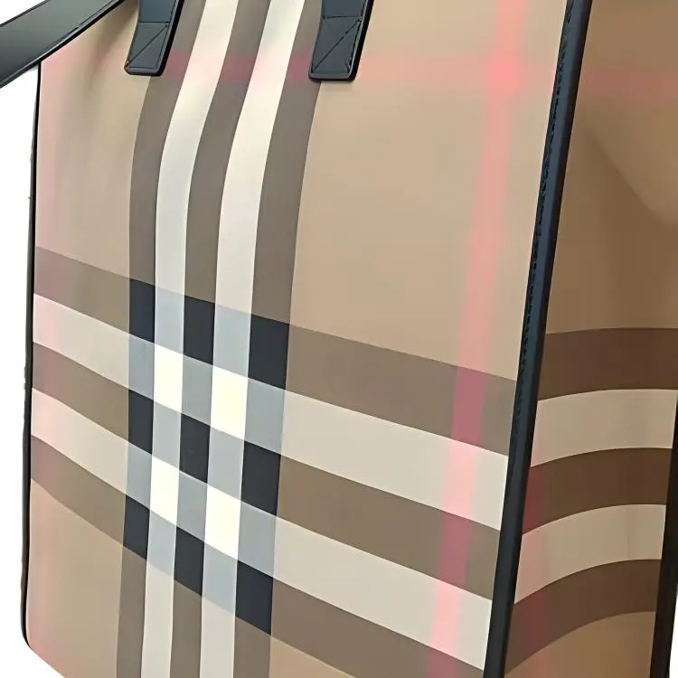 Burberry House Canvas One Shoulder Handbag Medium Size Women's Gray Brown-4