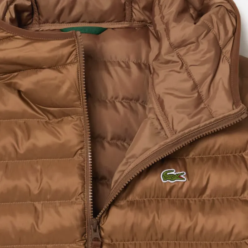 LACOSTE Padded Jacket-3