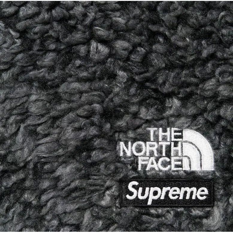 Supreme The North Face High Pile Fleece Short-2