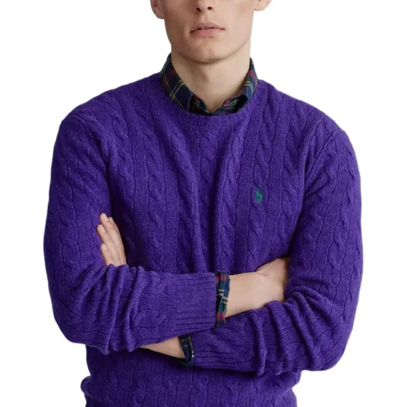 Polo Ralph Lauren FW23 Sweater Men's Purple-3