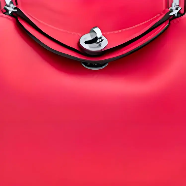 HERMES Lindy Handbags-4