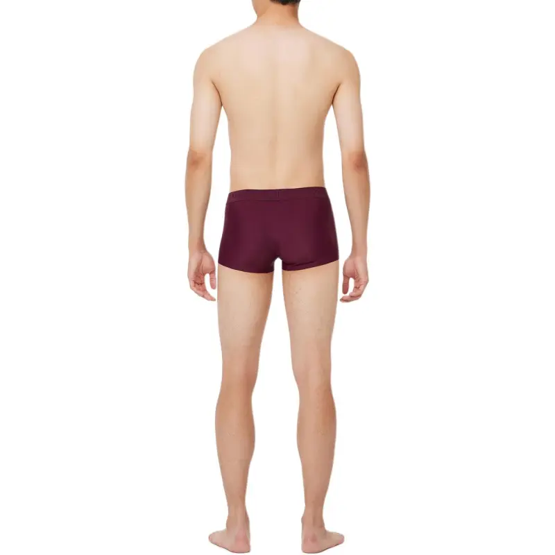 CALVIN KLEIN Underpants Men's 1 Pack Burgundy-1