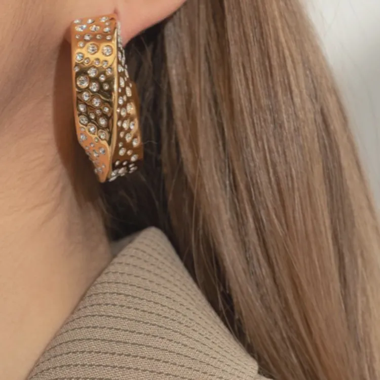 En Goose Crystal embellished Earrings-3