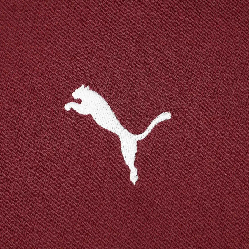 PUMA HER HOODIE TR Sweatshirt Women's Burgundy-2