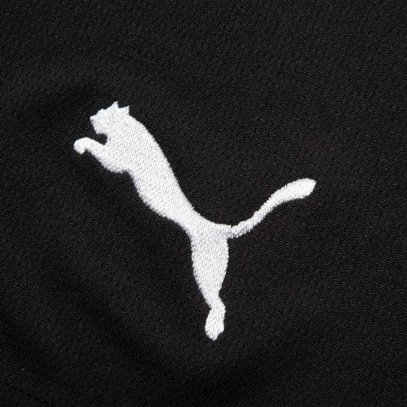 PUMA AC Milan Sports Shorts Men's Black-5