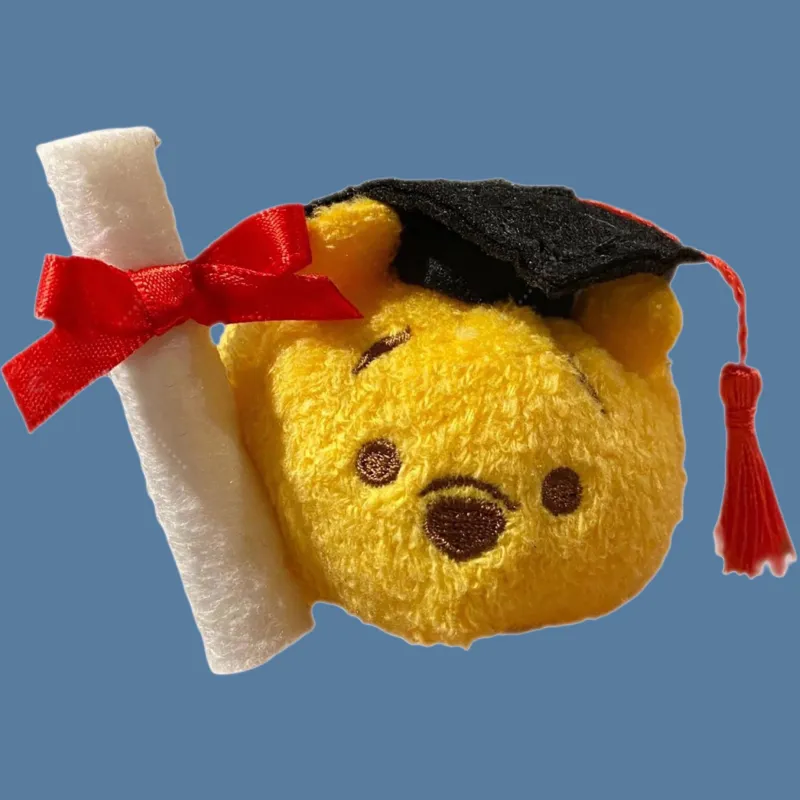 Disney Winnie Dolls Plush Doll Ss Height Hong Kong Disney-1