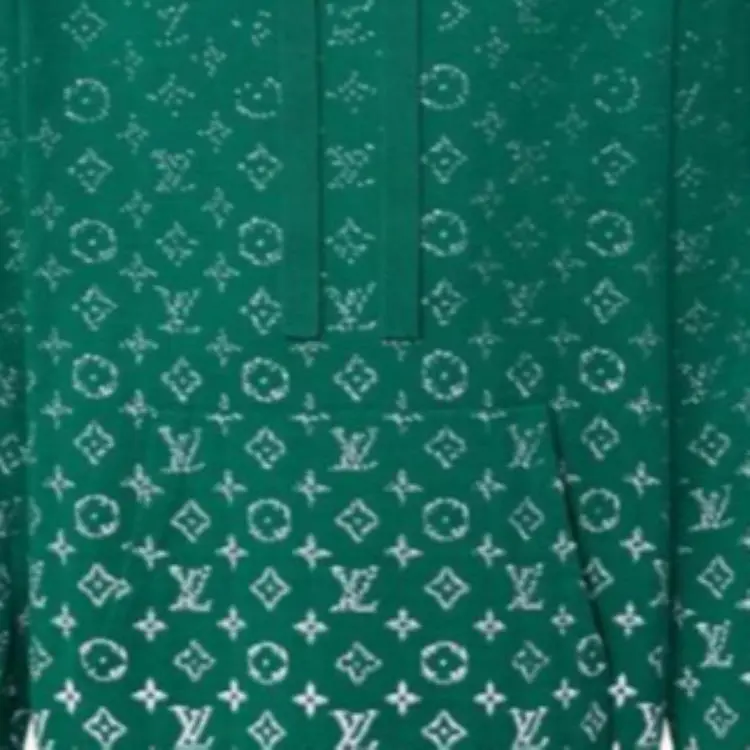 Lv Monogram Gradient Cotton Hoodie-5