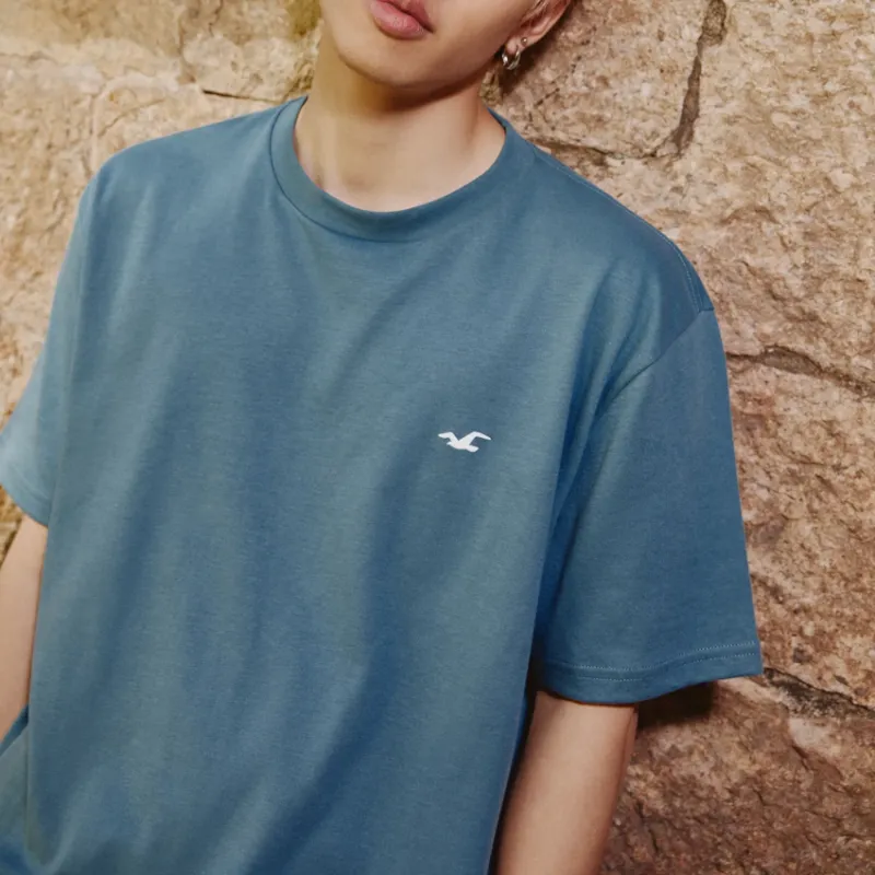 Hollister T Shirts Men Blue-3