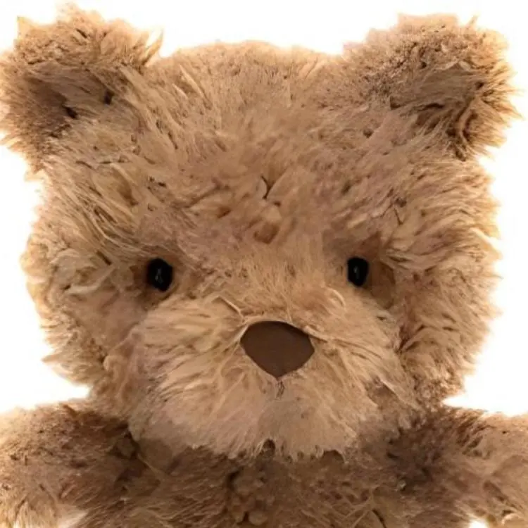 JELLYCAT Panda Series Animal Bear Brown Dolls Plush Doll 25cm High-2