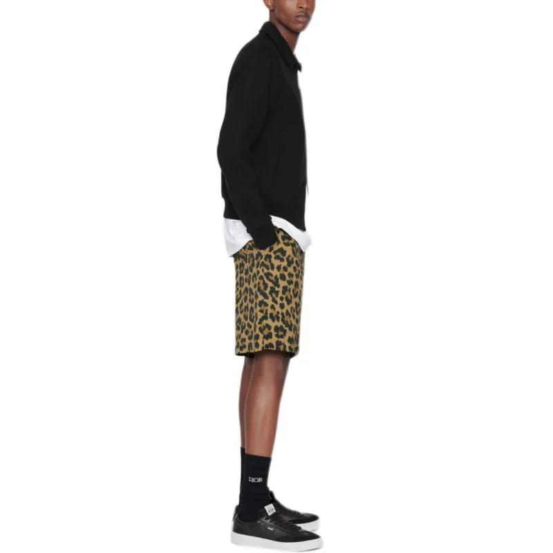 DIOR FW22 Casual Shorts Men's Brown-4