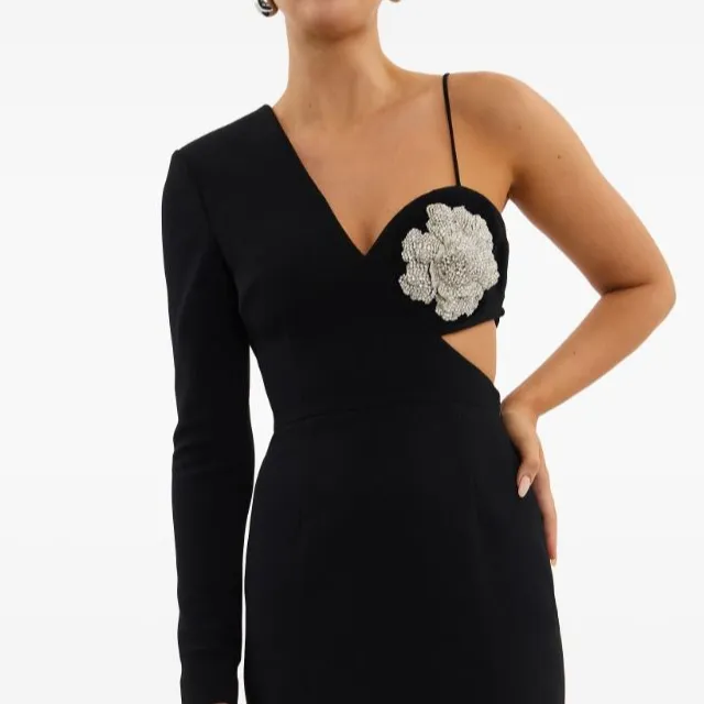 Rebecca Vallance Sachiel Floral appliqué Gown-4