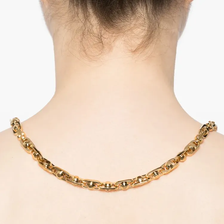 MICHAEL KORS Astor Link Necklace-2