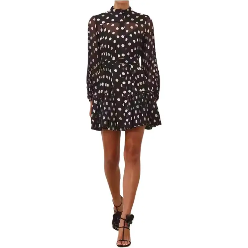 Zimmermann Polka Dot print Dress-2