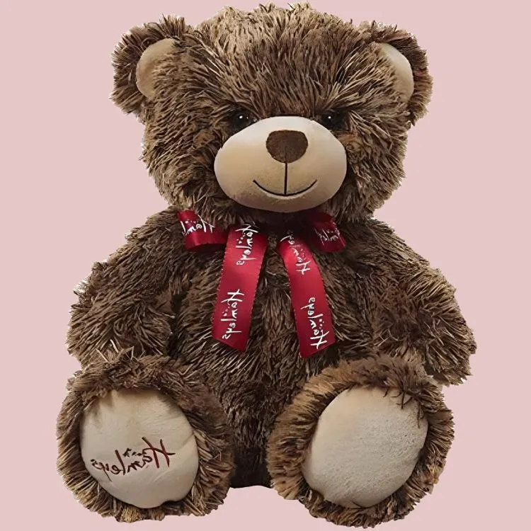 Hamleys Mocha Bear Dolls Plush Doll 23cm Height-3