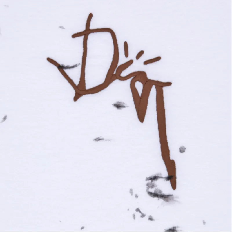 DIOR X Cactus Jack Oversized T Shirt-5