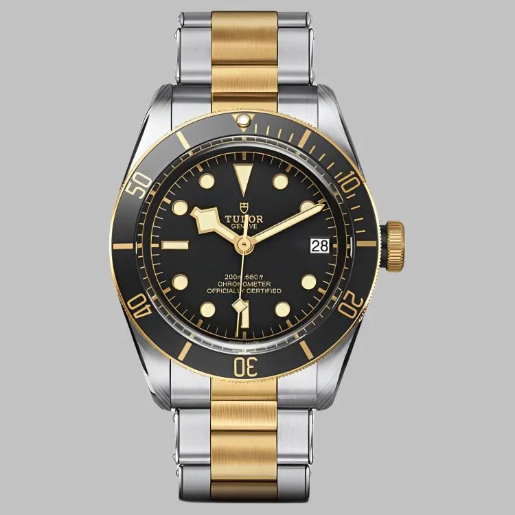 TUDOR Black Bay M79733N-1