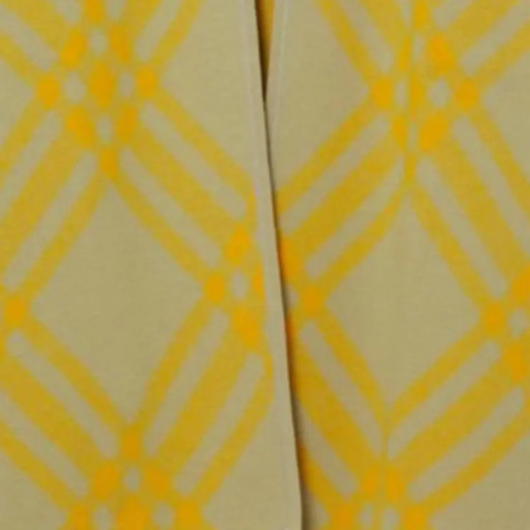 Burberry Cloak Women's Don't Touch Me Yellow-5