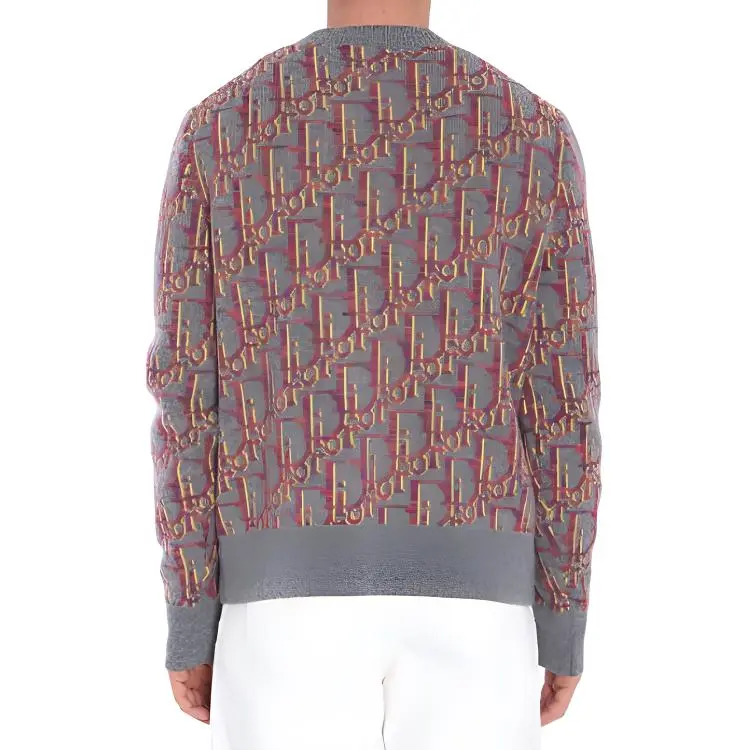 DIOR Sweaters Men Gray-1
