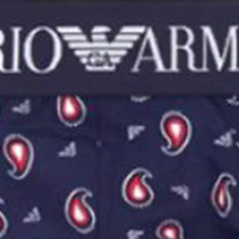 EMPORIO ARMANI Underpants Men's 2 Pack Purple-6