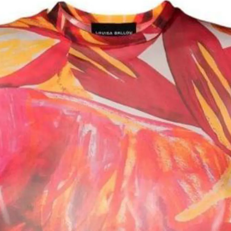 Louisa Ballou Transparent effect Printed T shirt-4