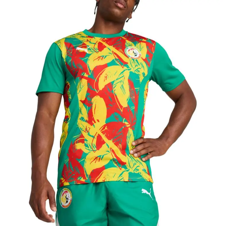 PUMA Senegal 2025 Pre Match Men's Soccer Jersey-2