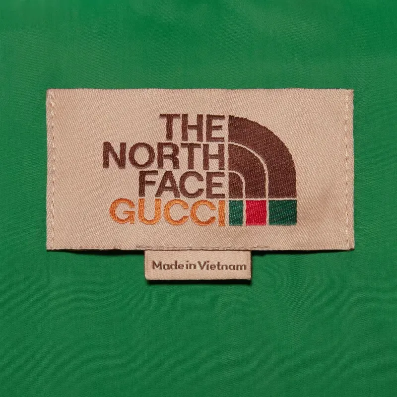 GUCCI X The North Face Down Jacket Multicolor/Ivory-1