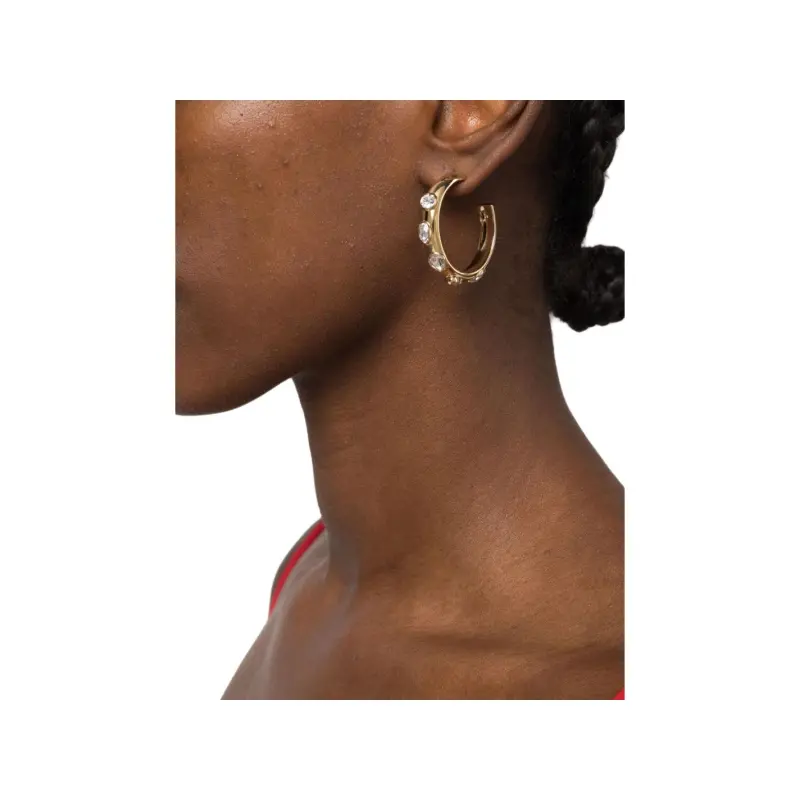 Swarovski Dextera Hoop Earrings-3