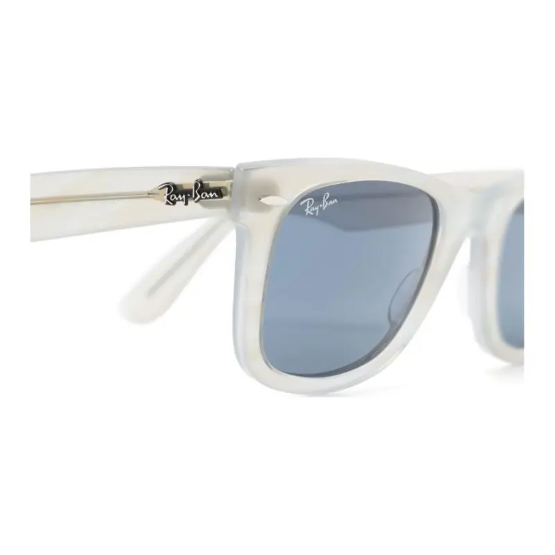 Ray Ban Wayfarer Sunglasses-2