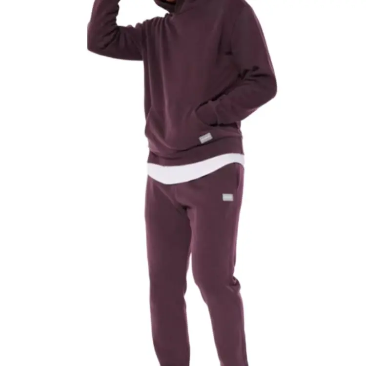 Hollister Sweatshirts Unisex Dark Purple-2
