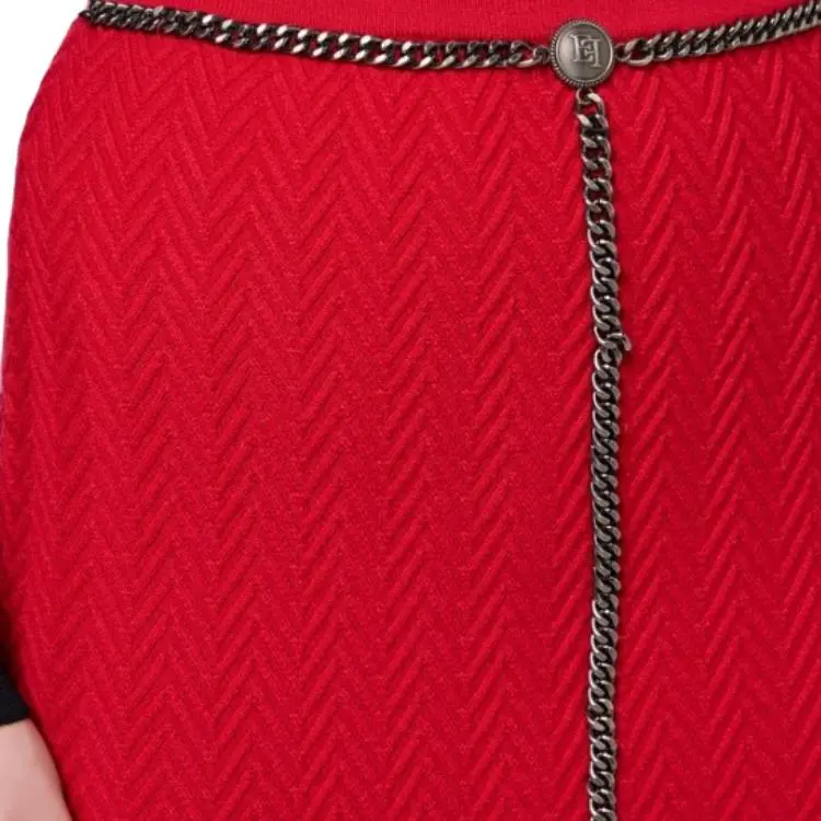 Elisabetta Franchi Chained Midi Skirt-6