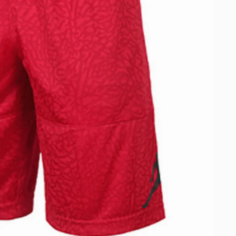 Jordan Sports Shorts Men Red-2