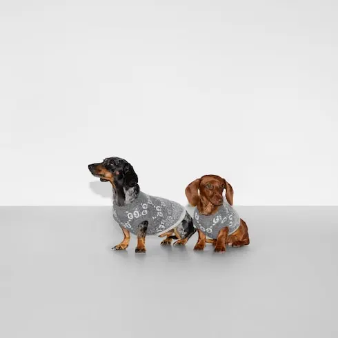 GUCCI Pet Clothing-2