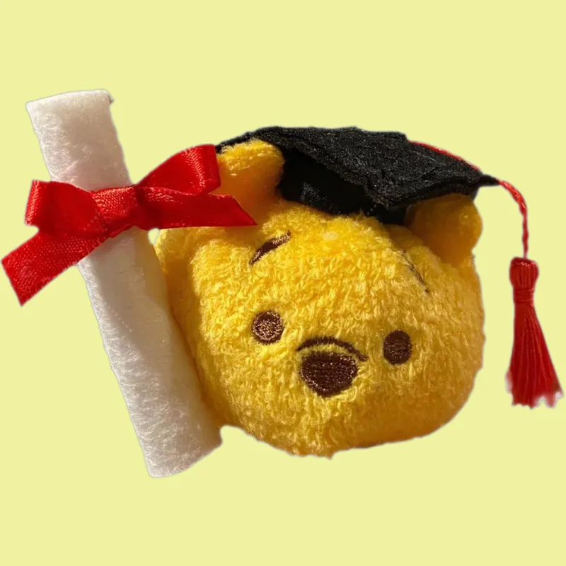 Disney Winnie Dolls Plush Doll Ss Height Hong Kong Disney-3
