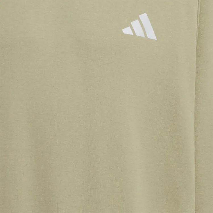 Adidas FW24 M TRANS CREW1 Sweatshirt Men's Green-5