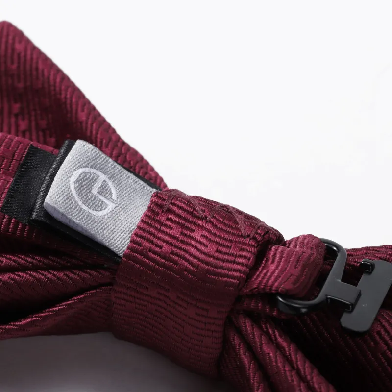 GOLDLION Ties Men-4