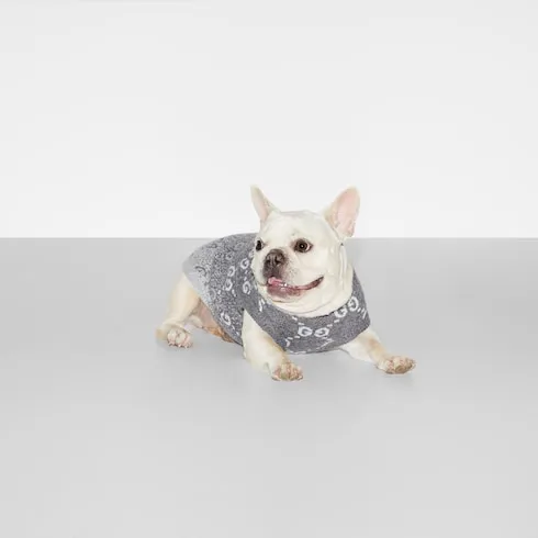 GUCCI Pet Clothing-4