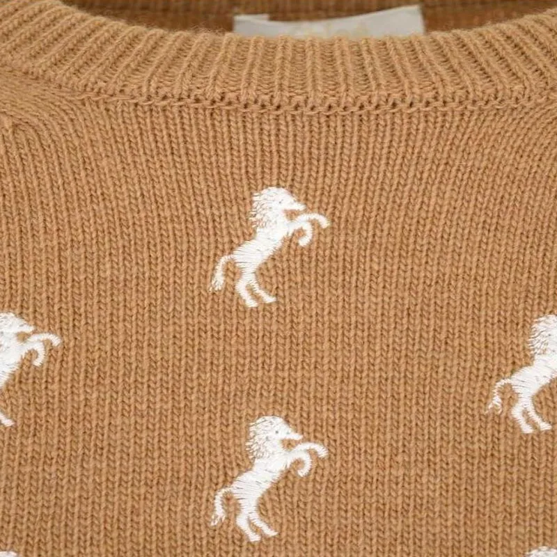 Chloé Sweaters Women's Brown-3
