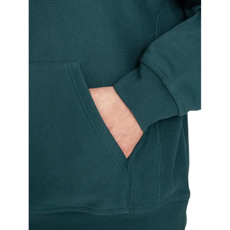 Carhartt WIP American Script Hoodie-4