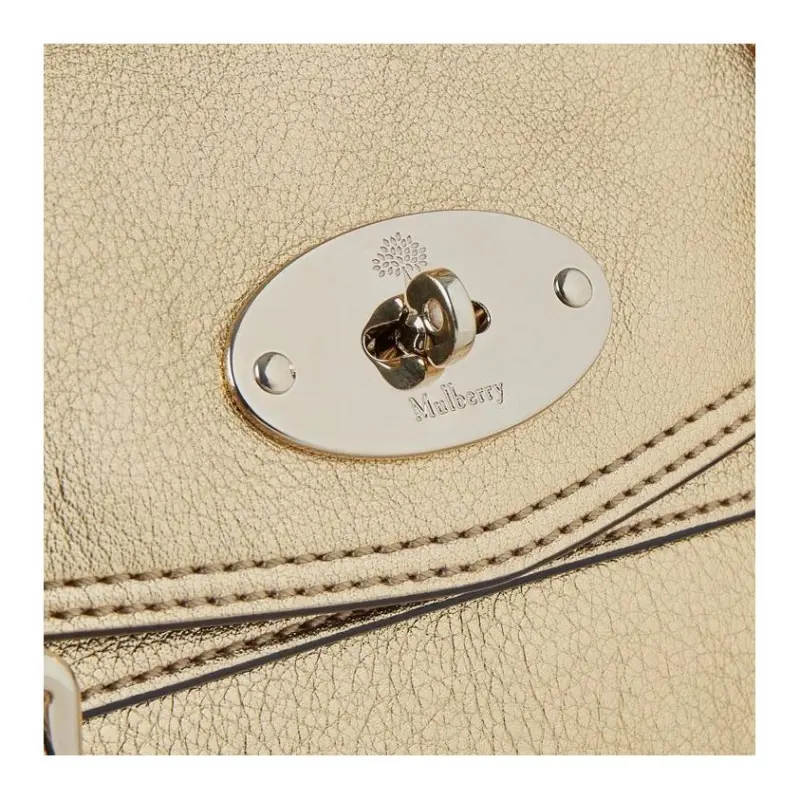 Mulberry Mini Alexa Satchel Bag-3
