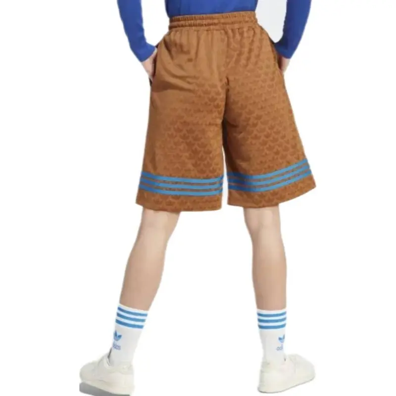 Adidas Originals Adicolor 70s Bb Monogram Shorts-3