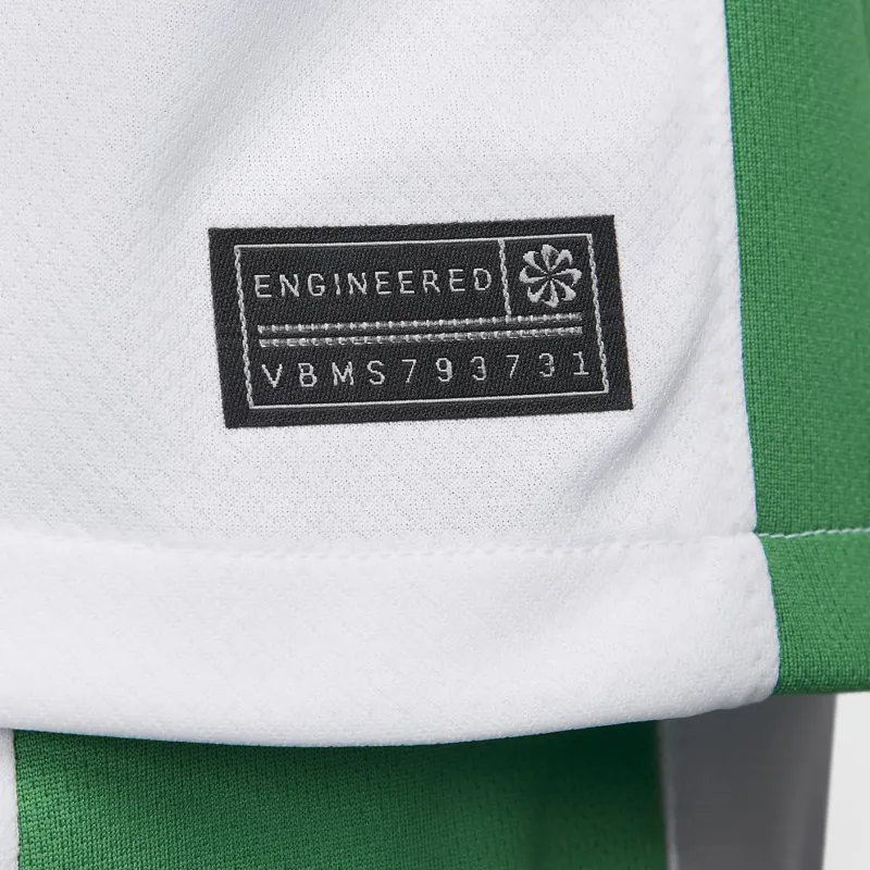 Nike Nigeria 2024 Stadium Home Men's Nike Dri FIT Soccer Replica Jersey-3