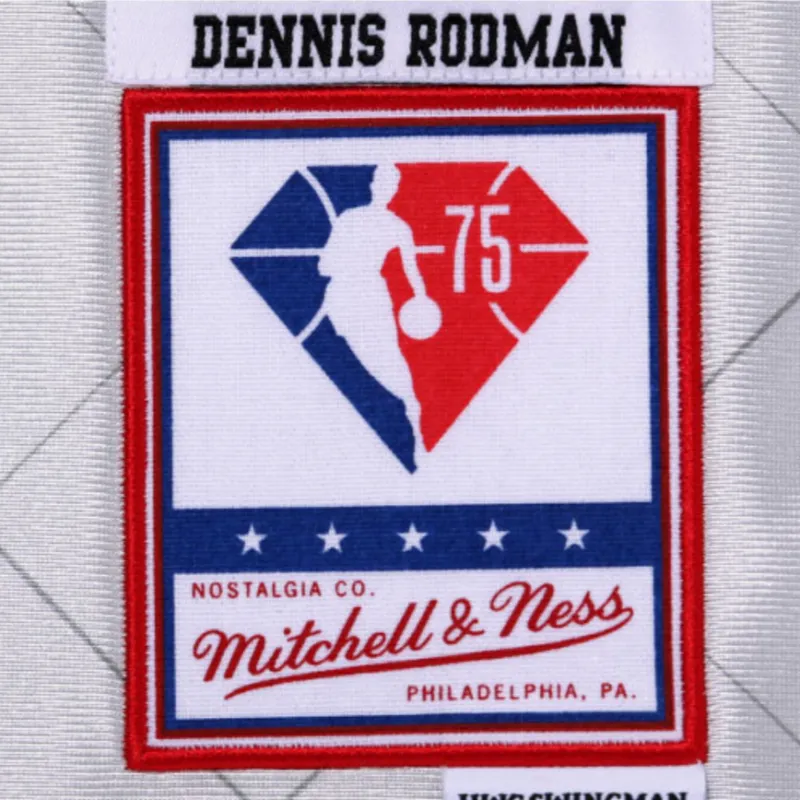 Mitchell & Ness Basketball Jerseys Unisex Silver-2