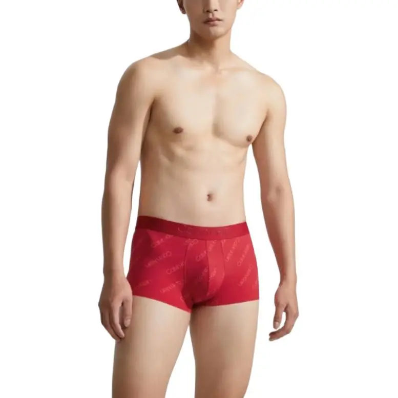 Calvin Klein Men Underpants-2