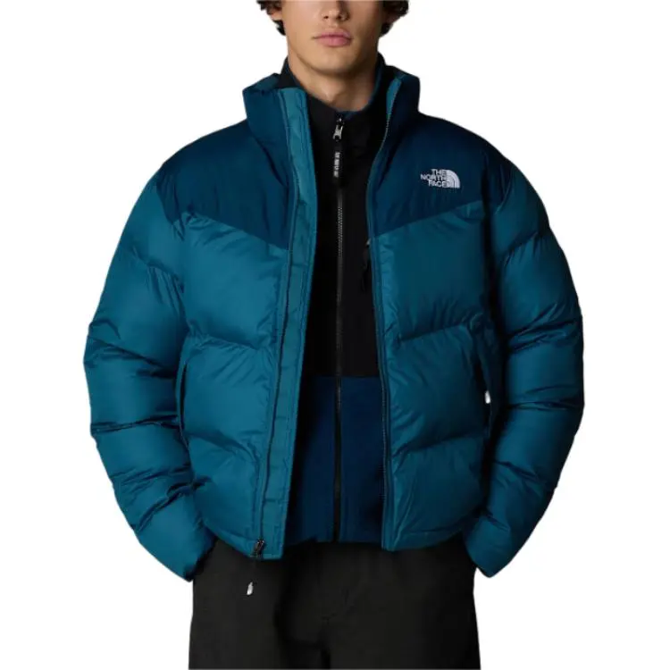 THE NORTH FACE FW24 Jackets Coats Men's Wild Duck Blue-4