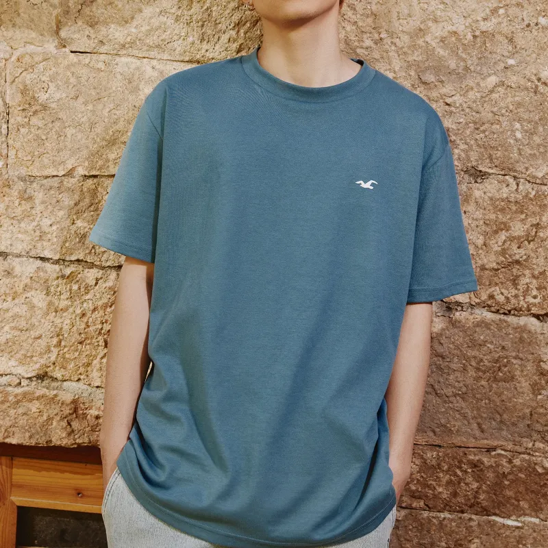 Hollister T Shirts Men Blue-2